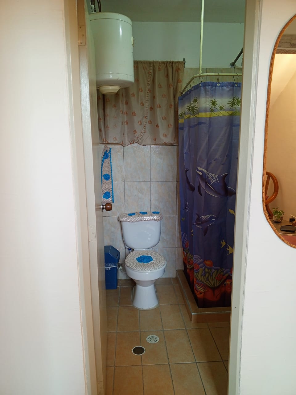 Image 7