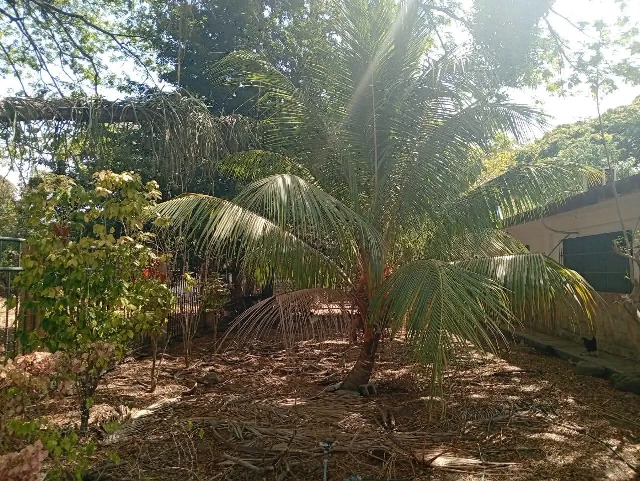 Image 8