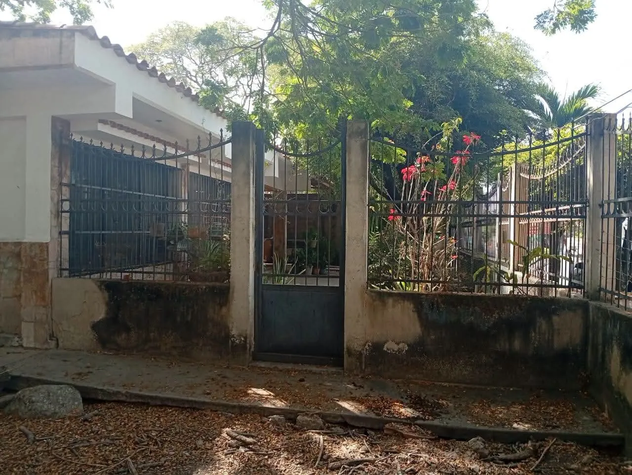 Image 10