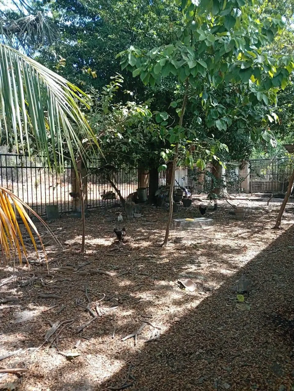 Image 11