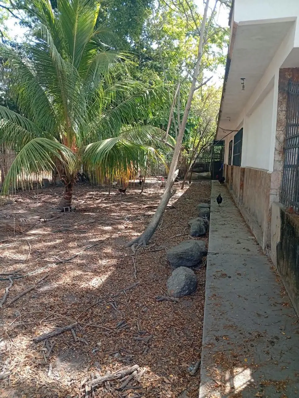 Image 12