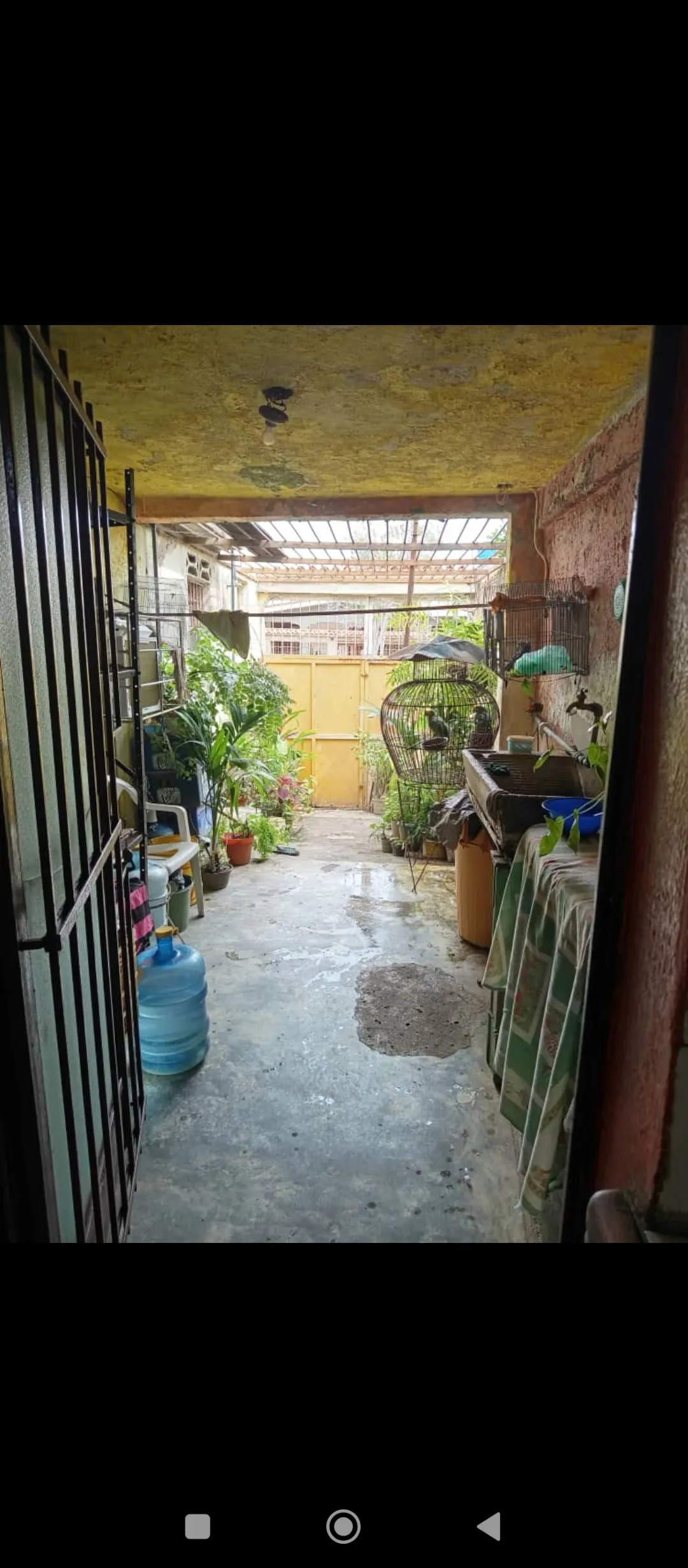 Image 15