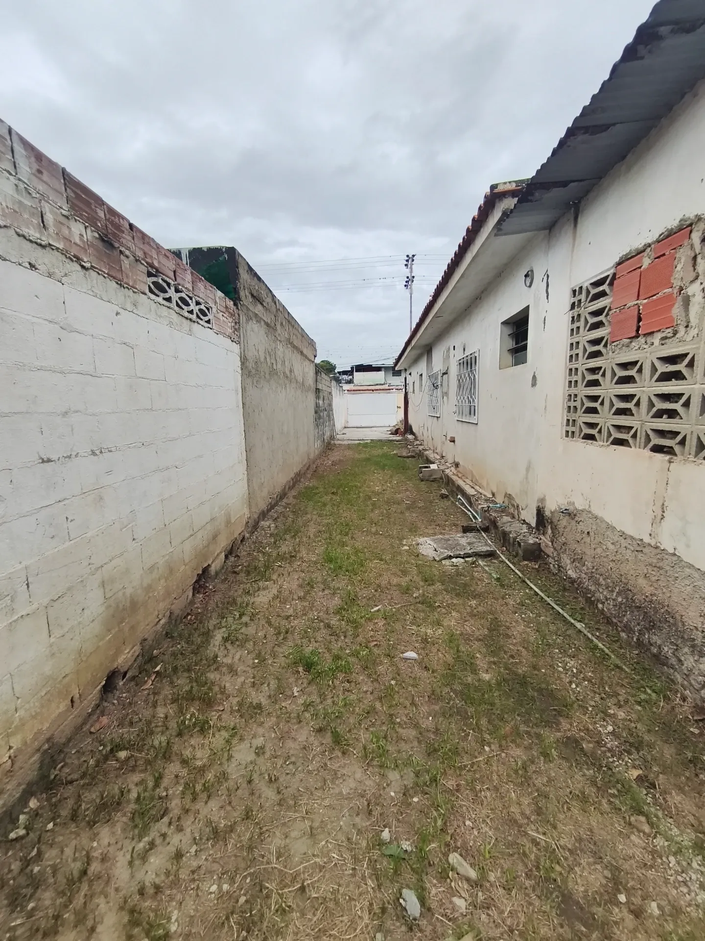 Image 13