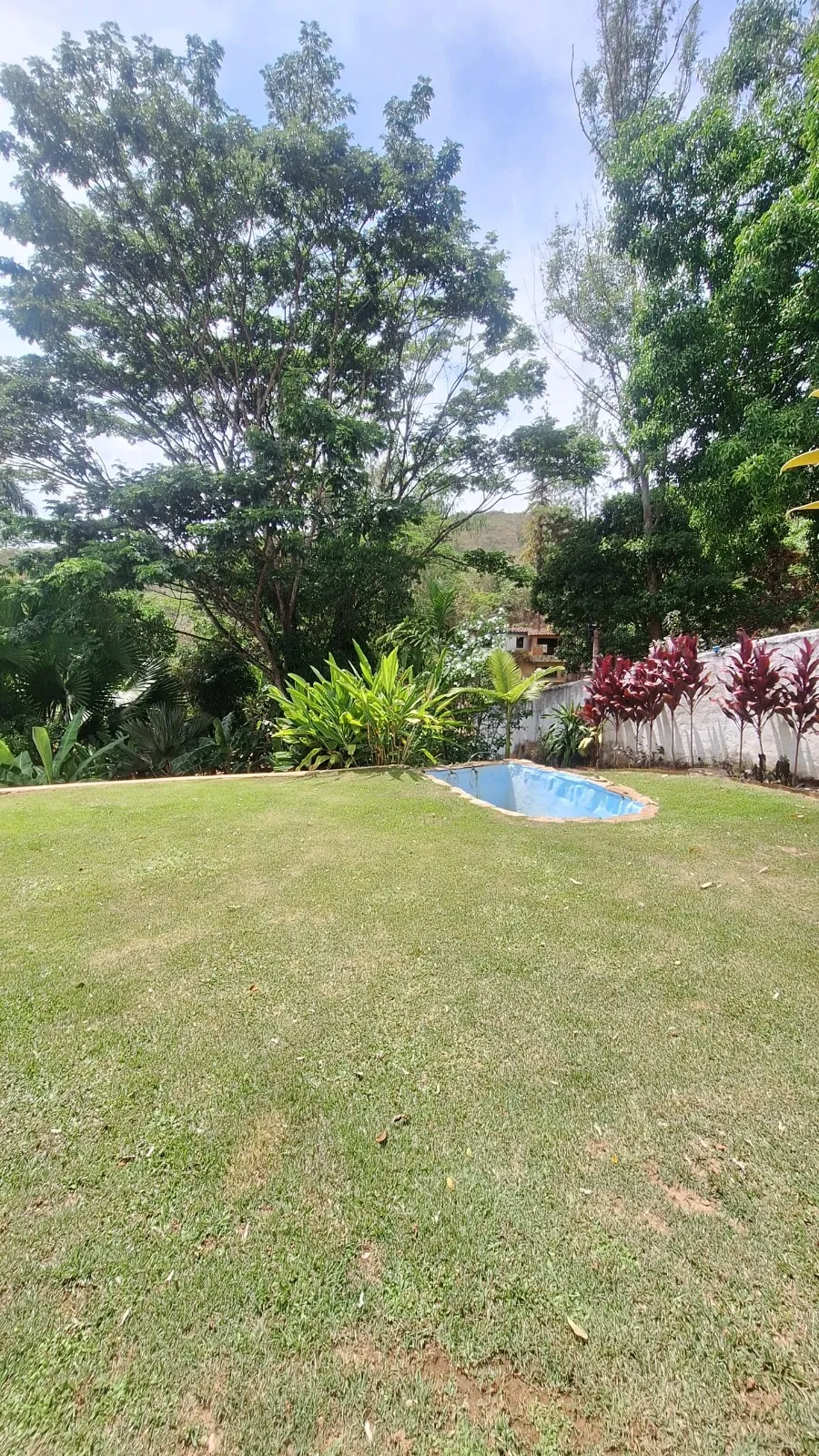 Image 13