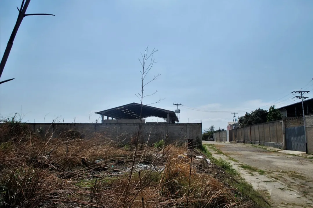 Image 4