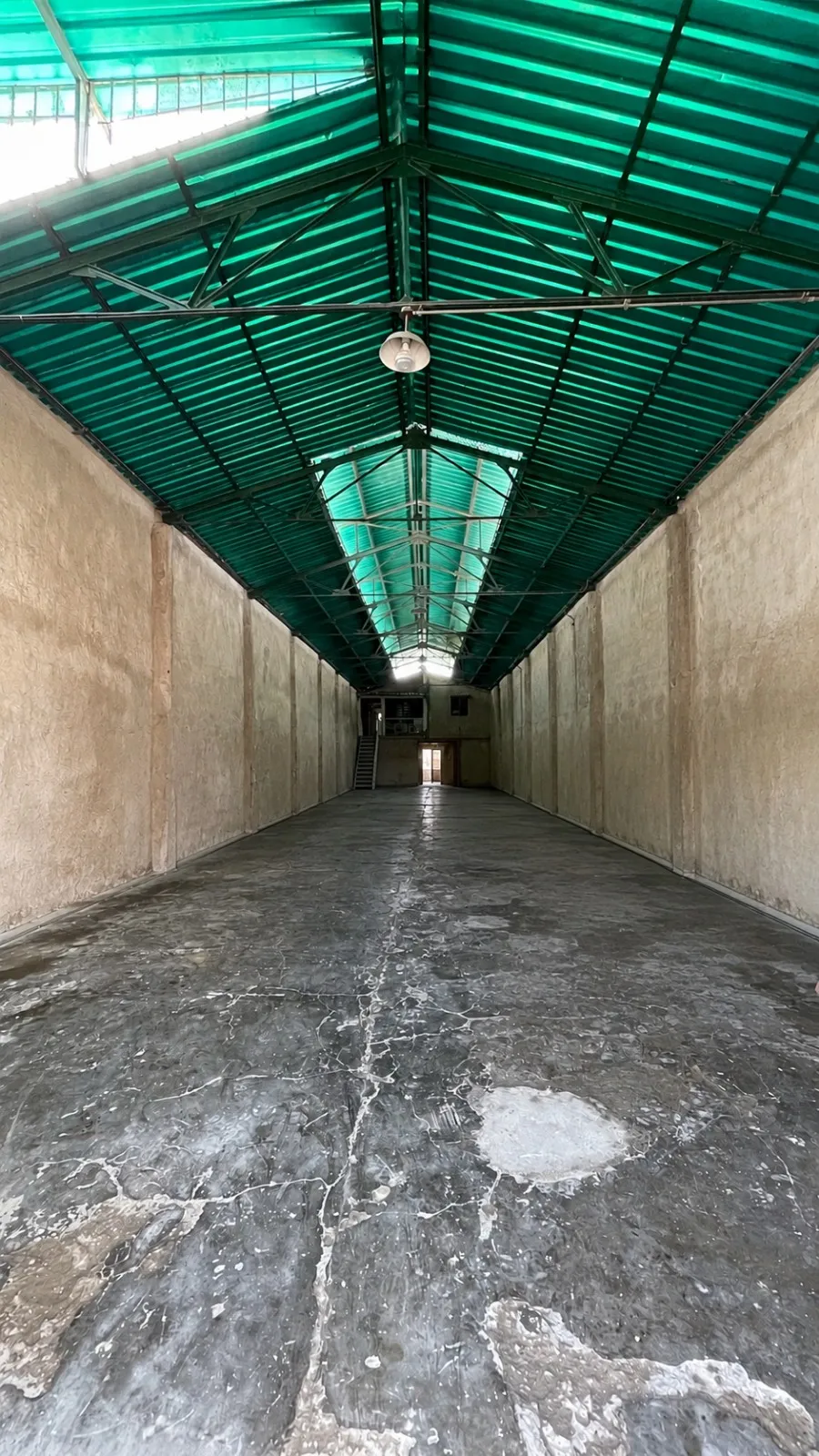 Image 12