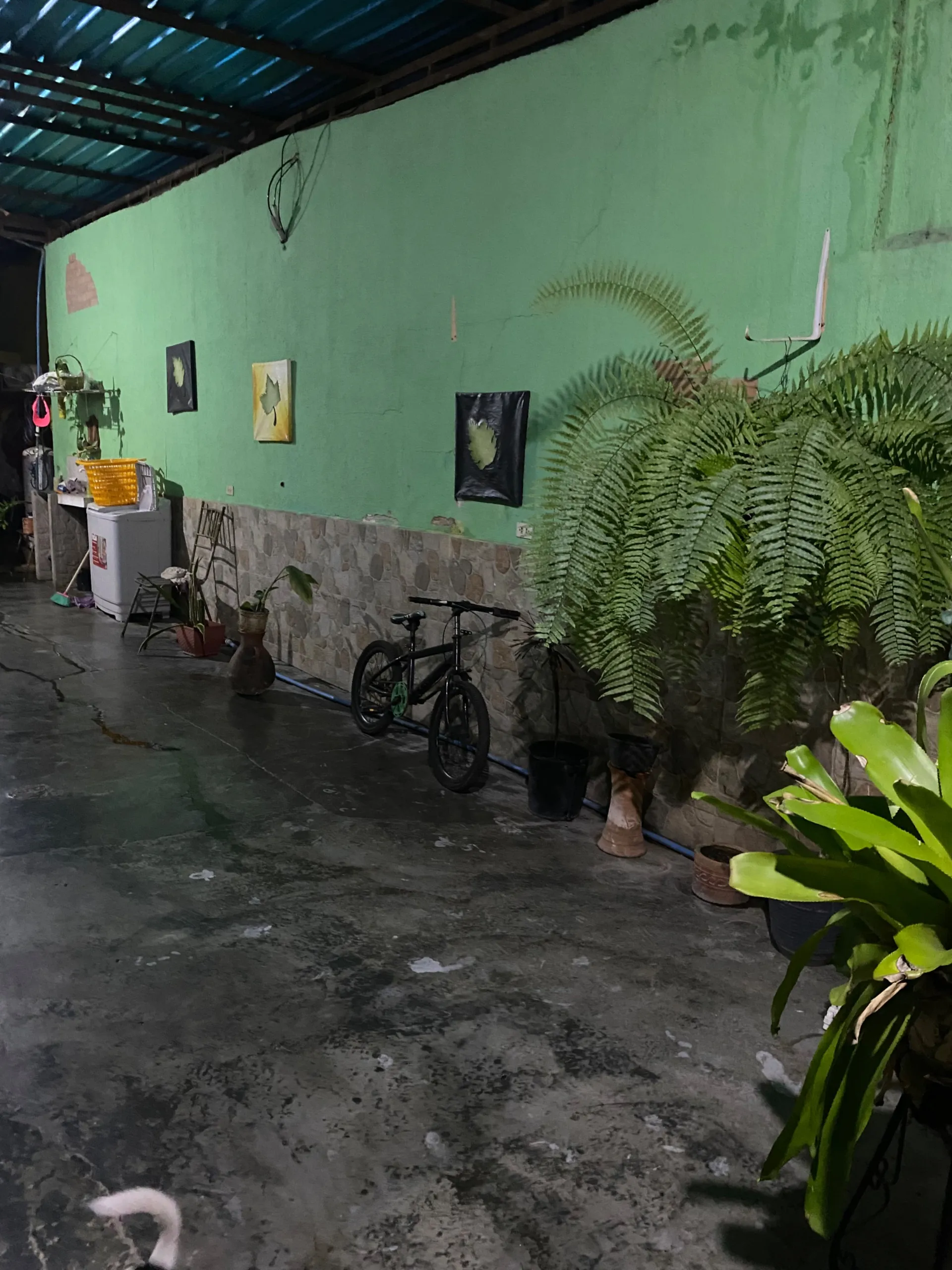 Image 9