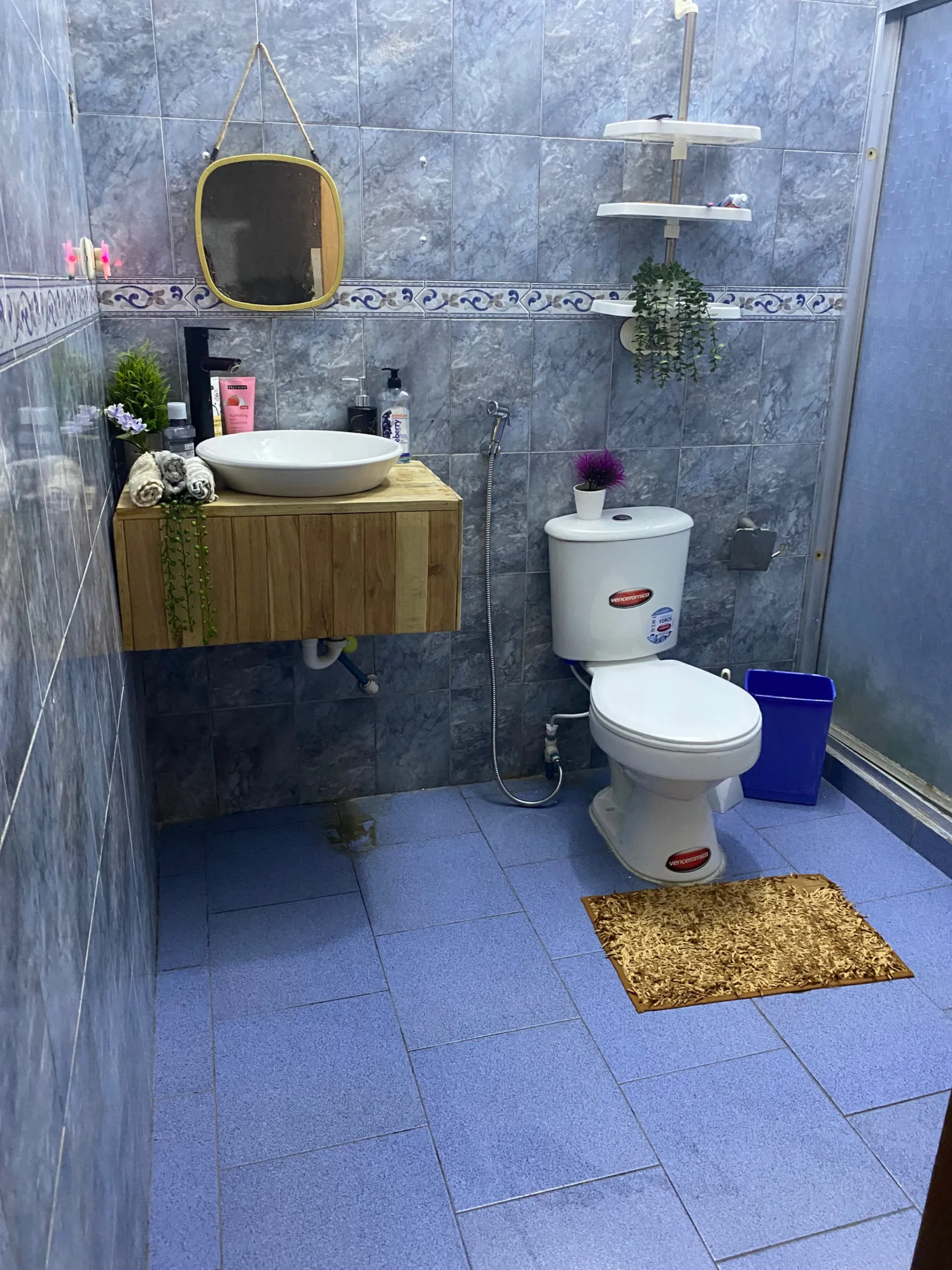 Image 12