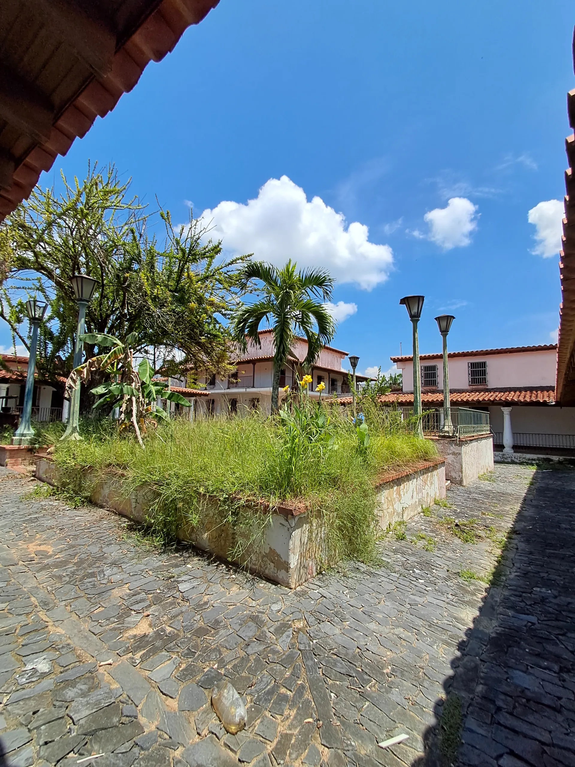 Image 11