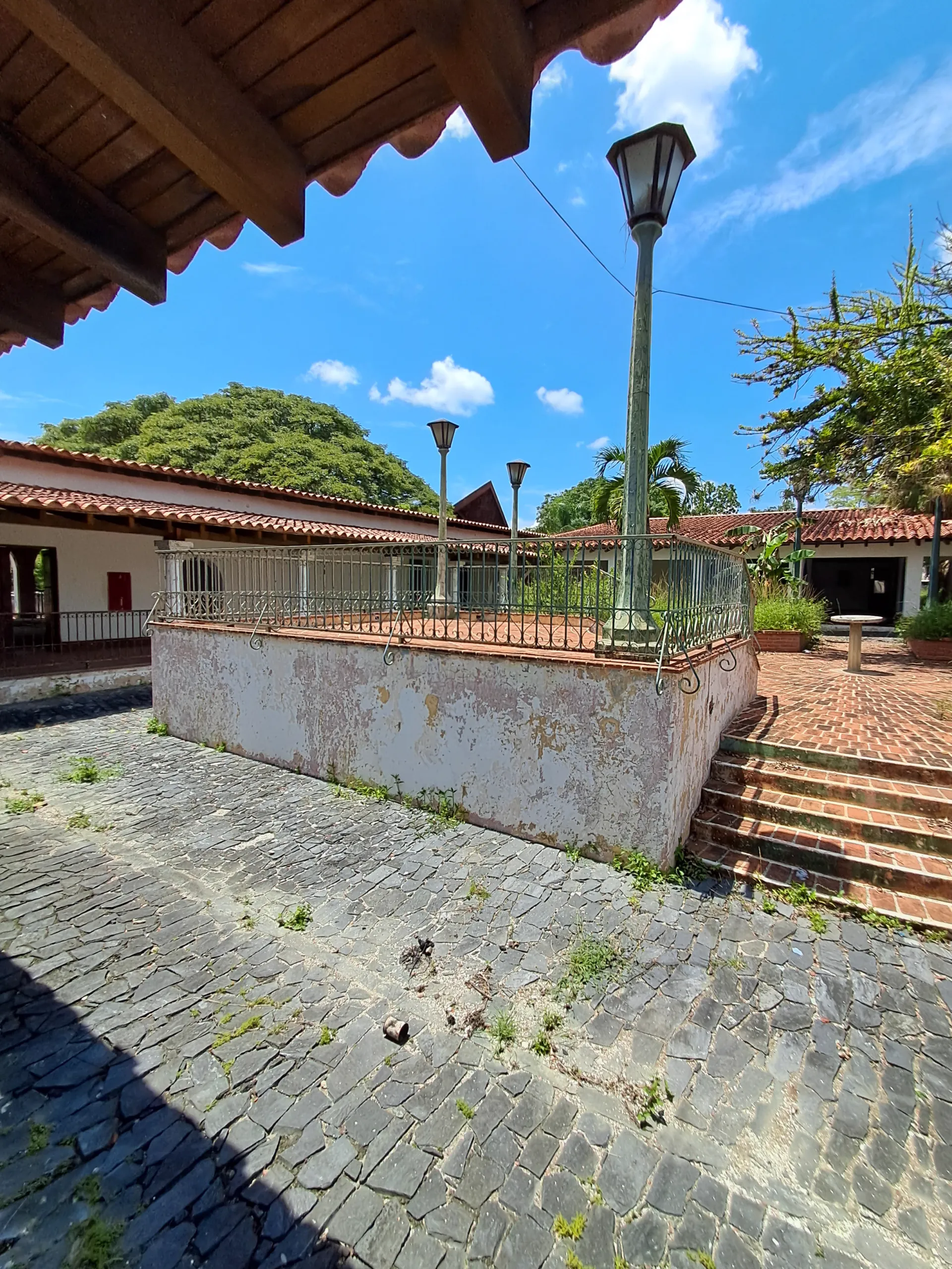 Image 12