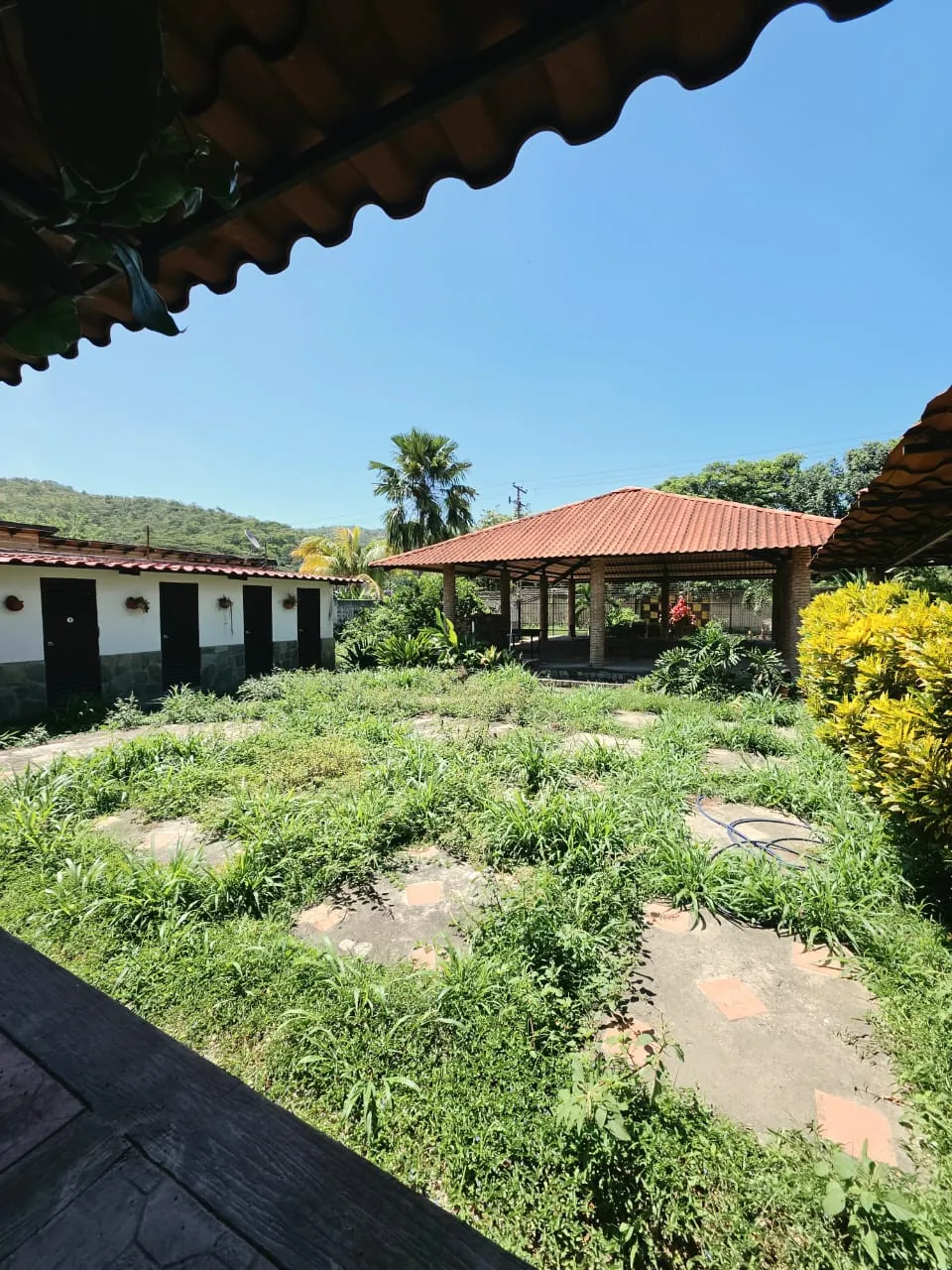 Image 4