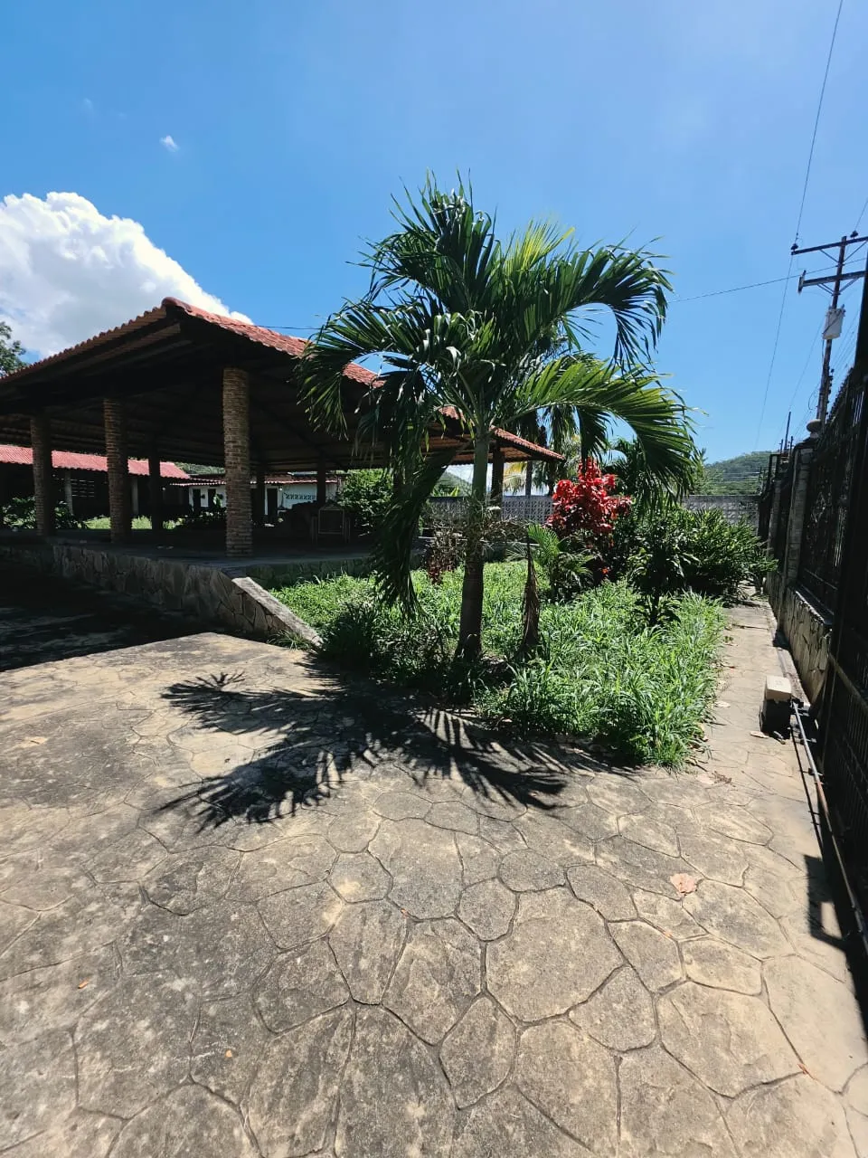 Image 10