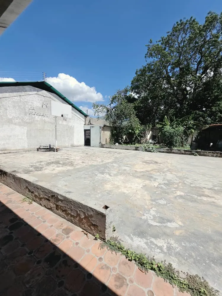 Image 14