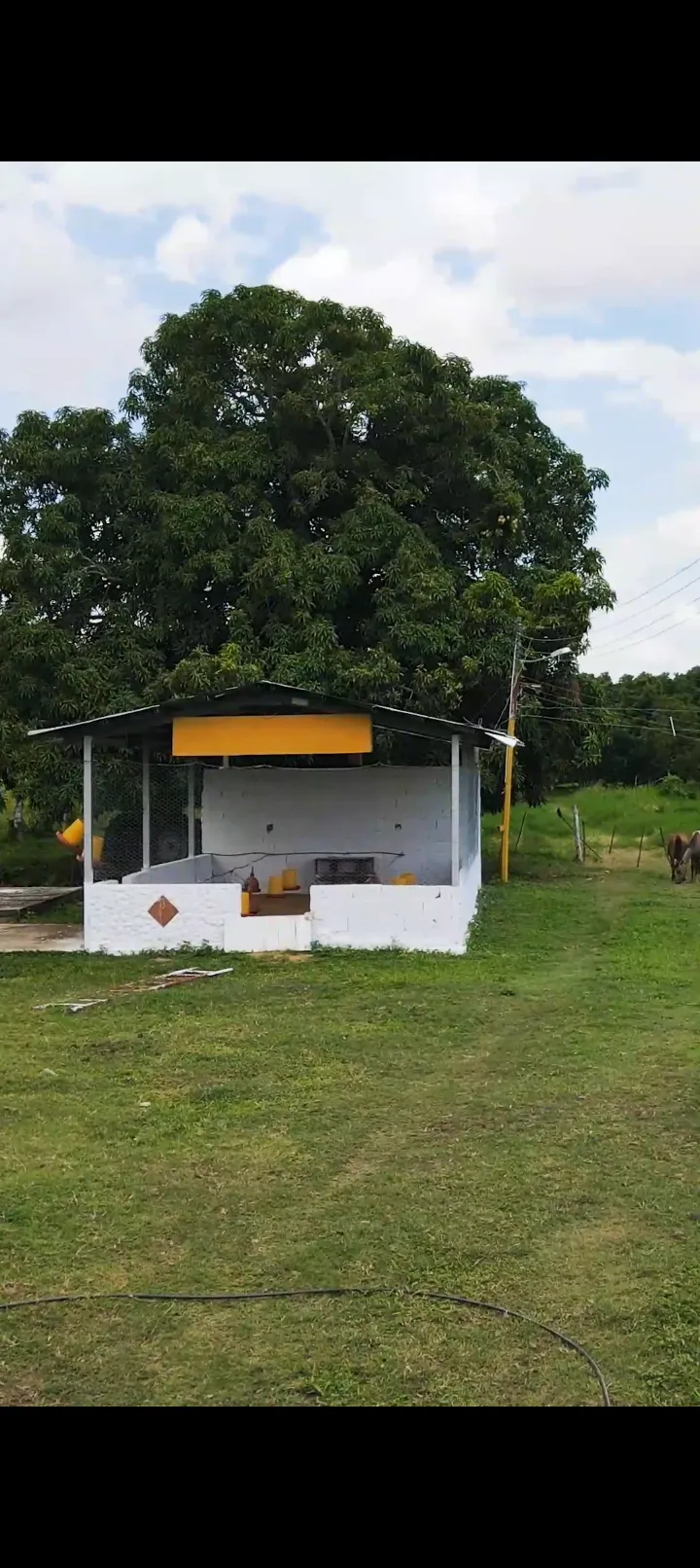 Image 15