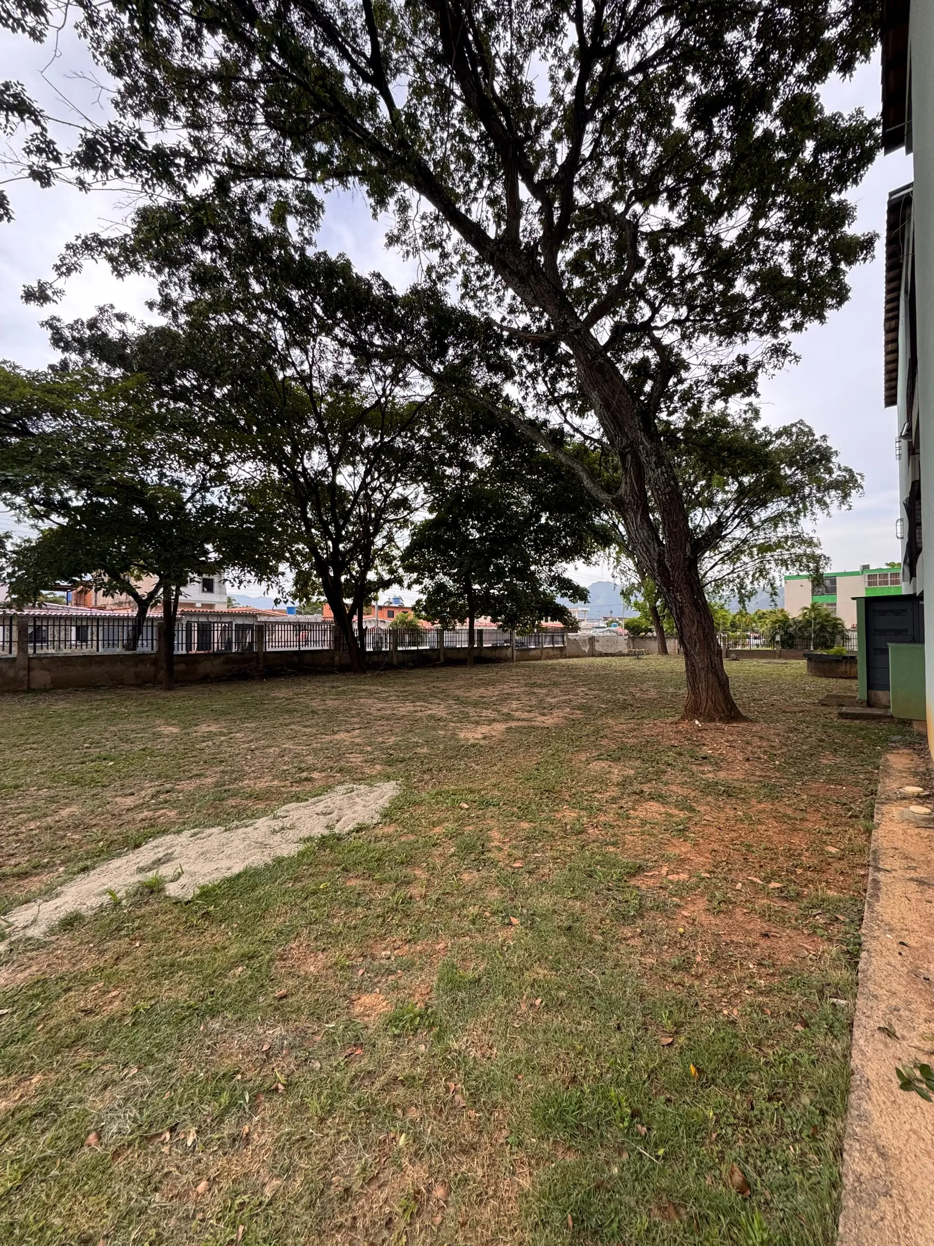 Image 13