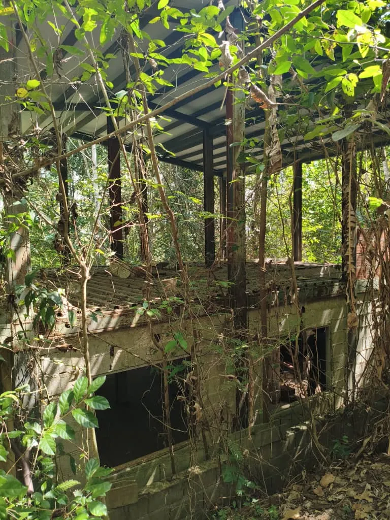 Image 4