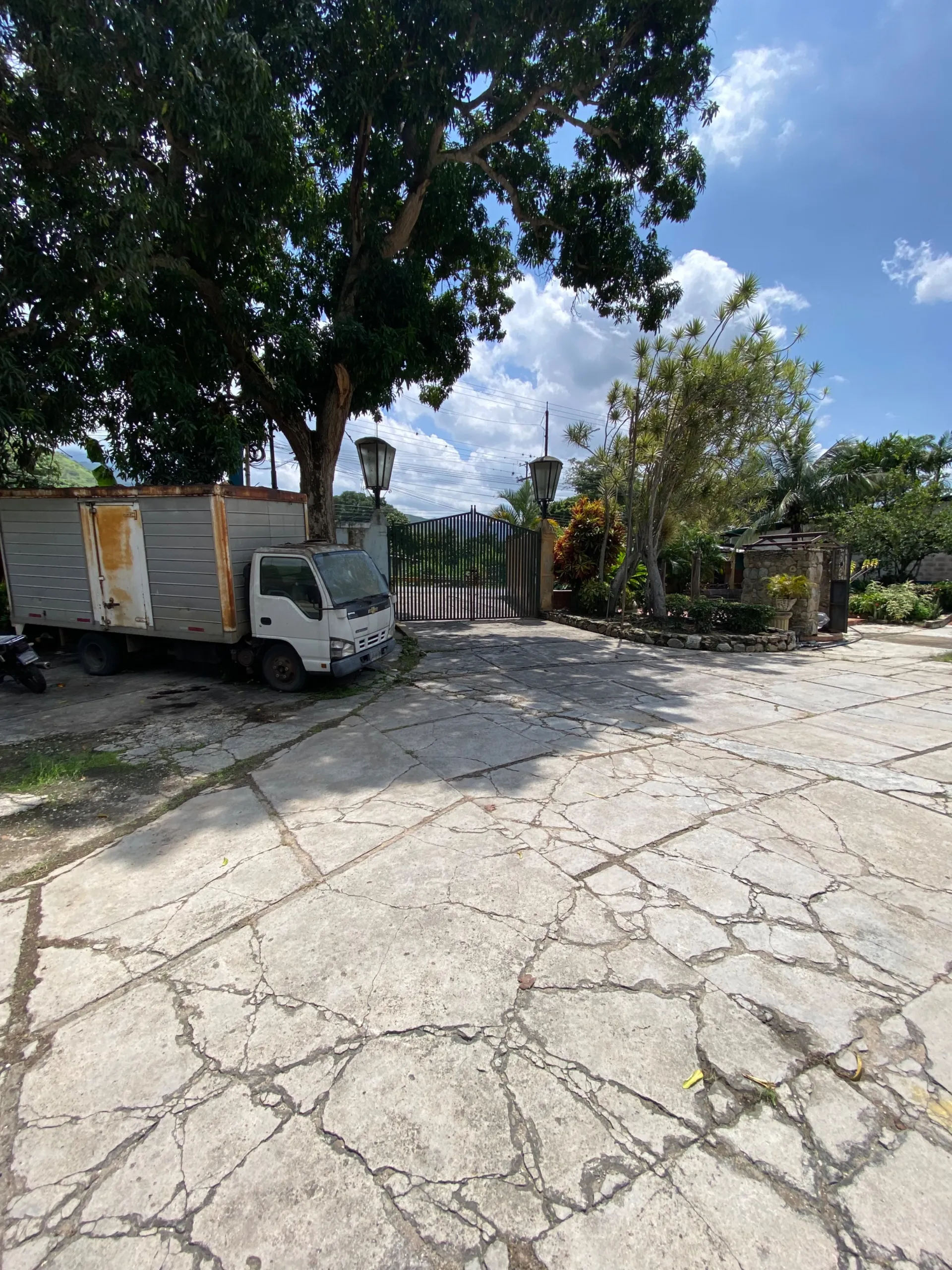 Image 11