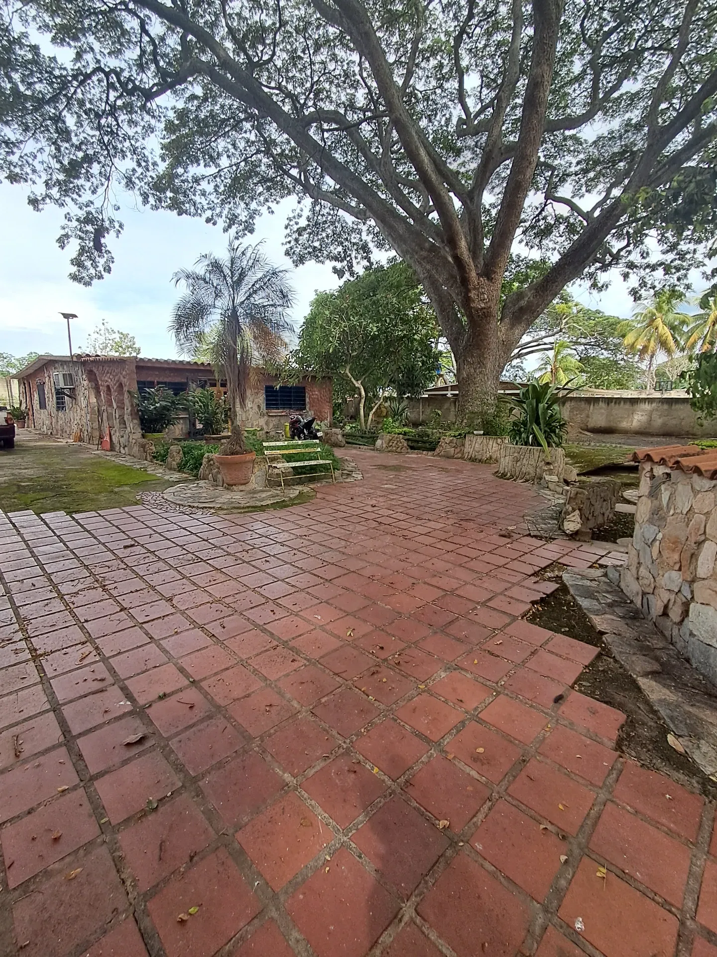 Image 10