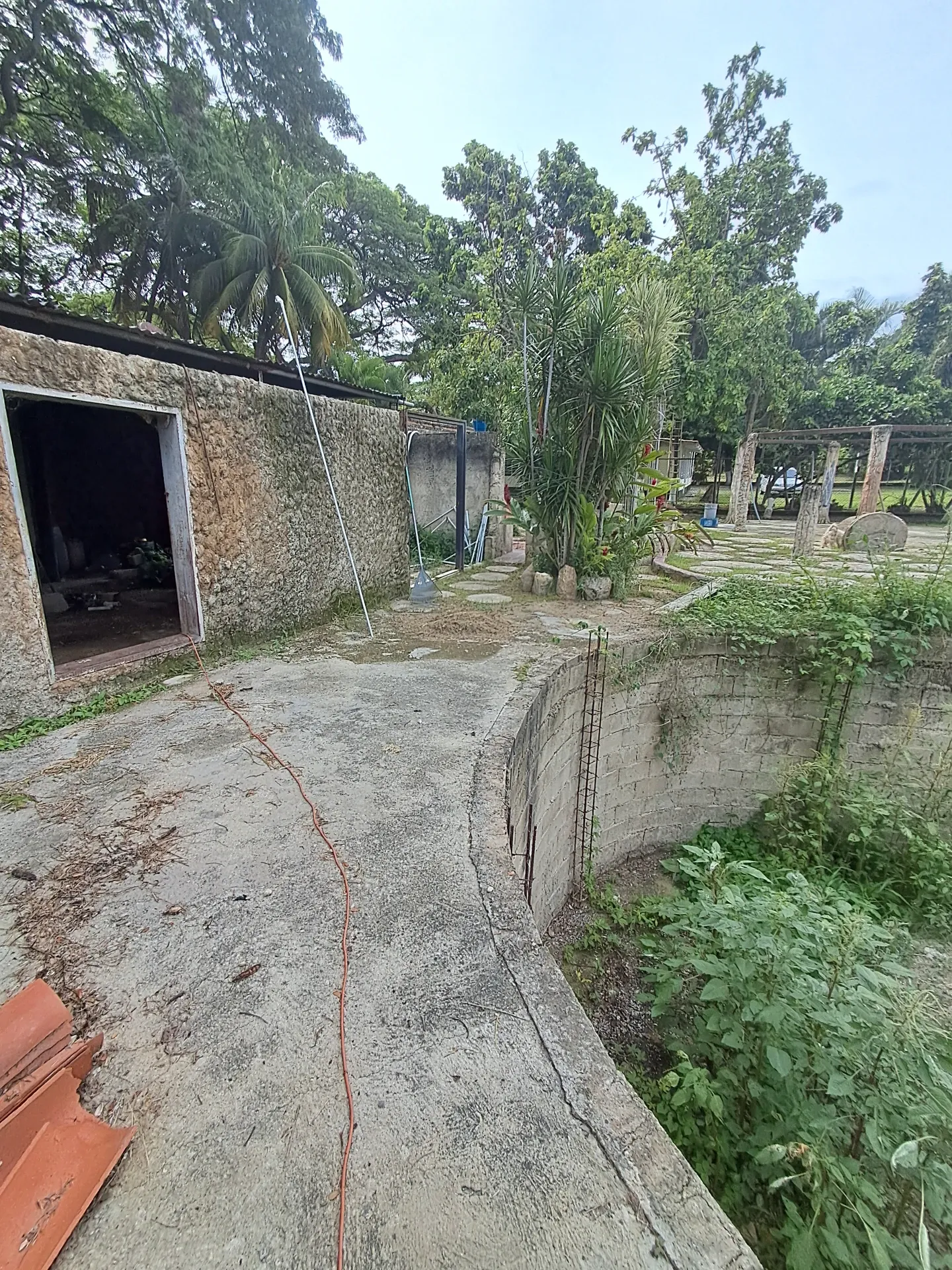 Image 12