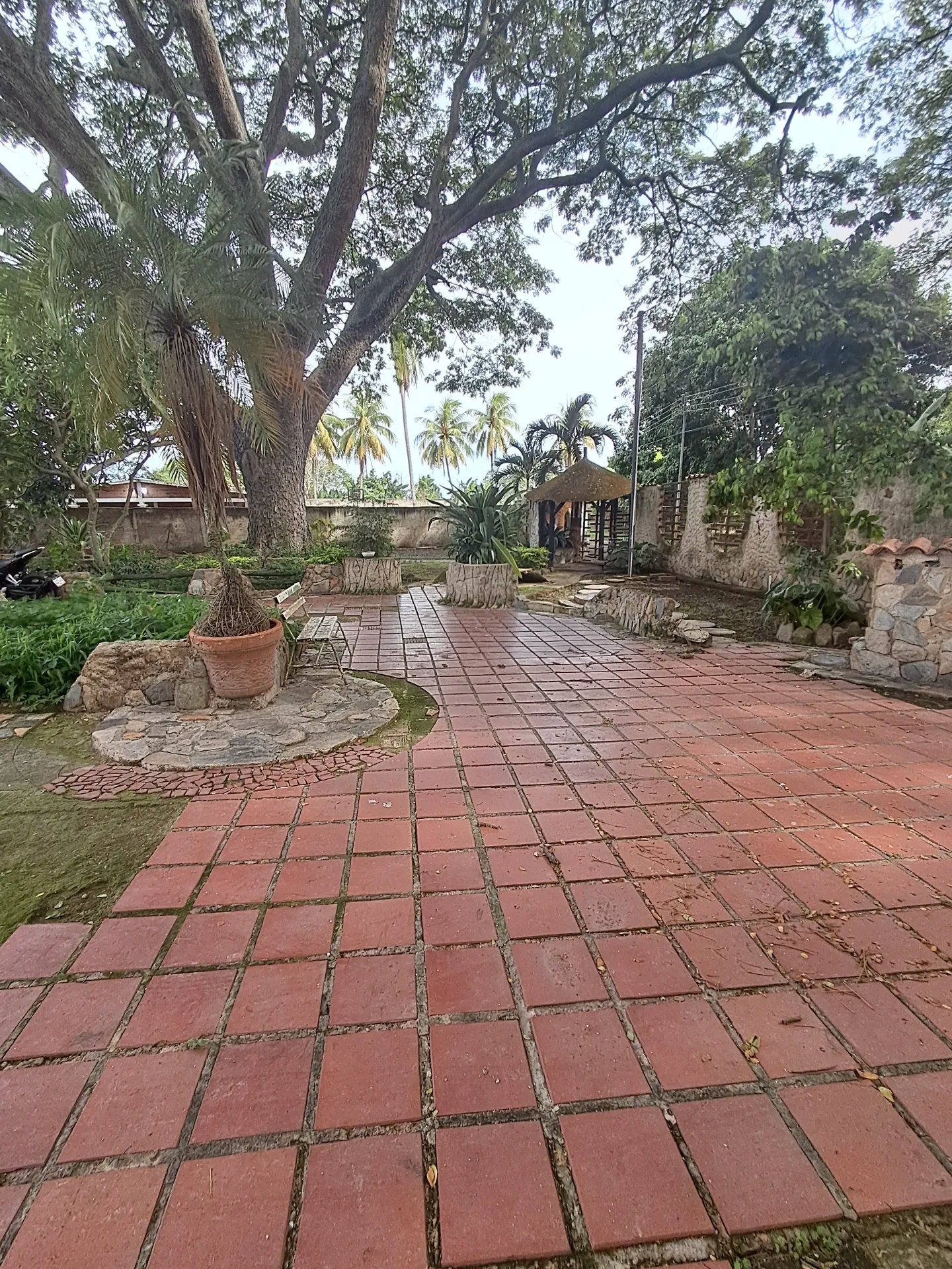 Image 14