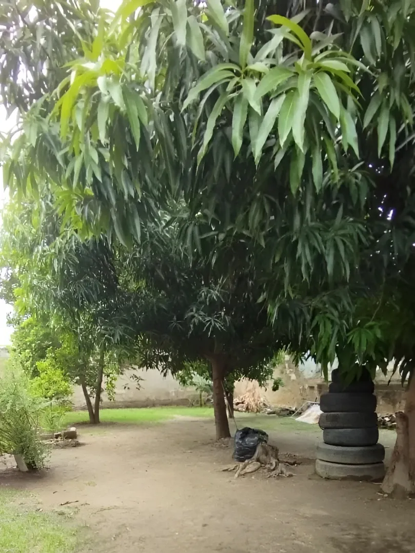 Image 10