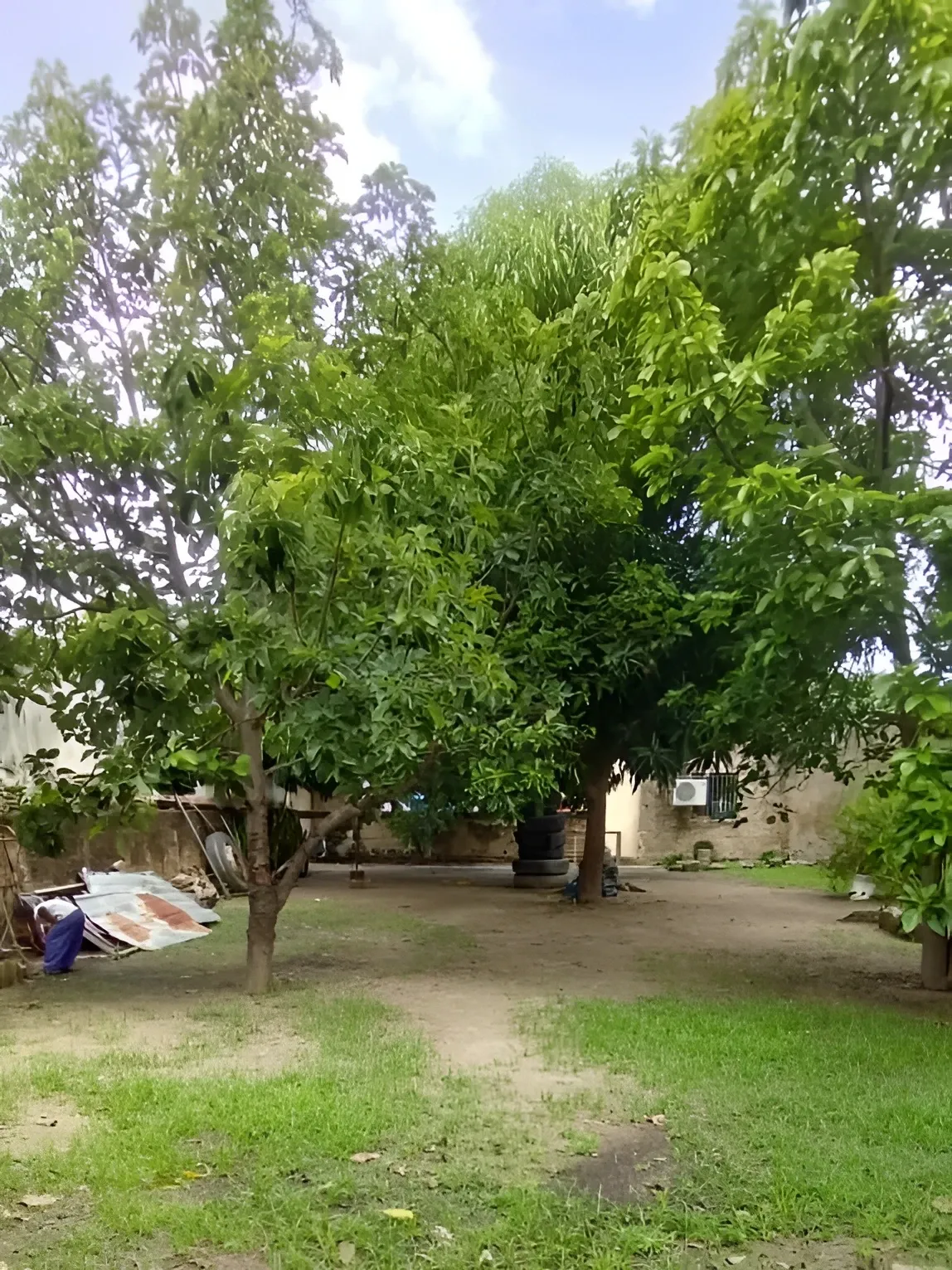 Image 11