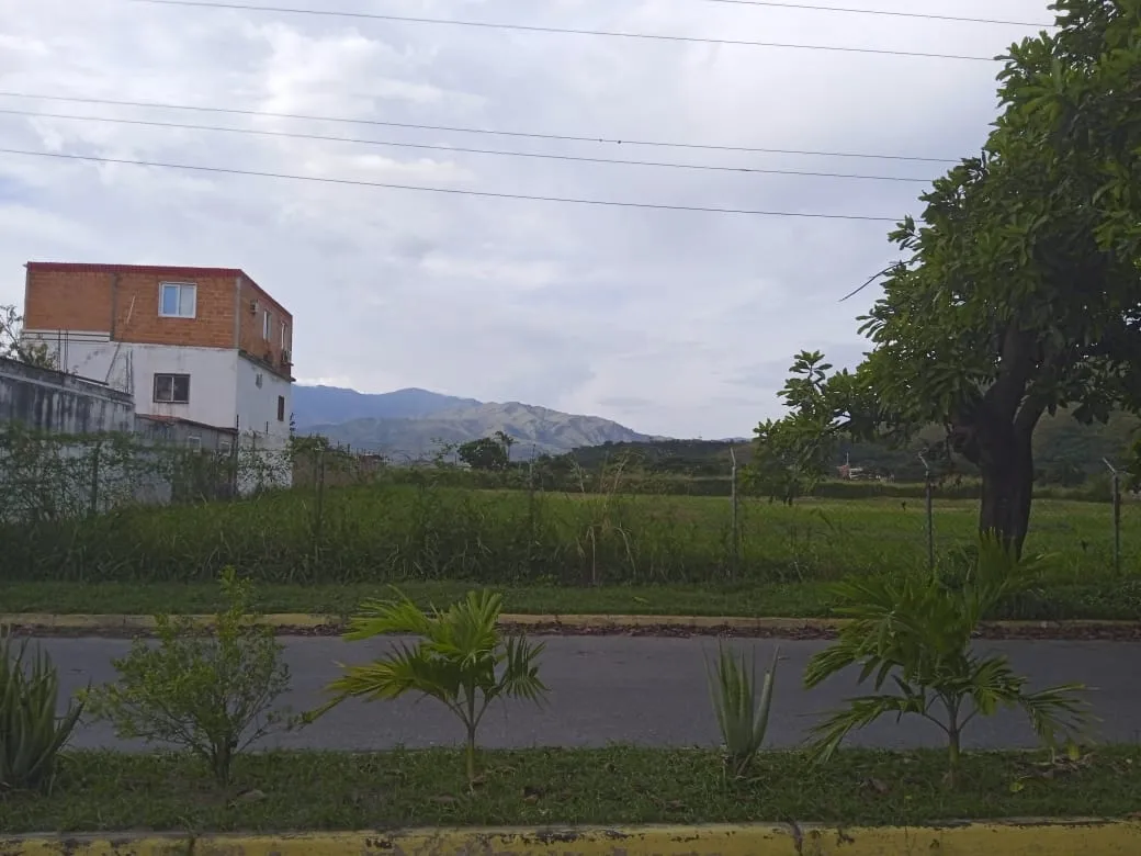 URBANIZACION LOS NARANJOS