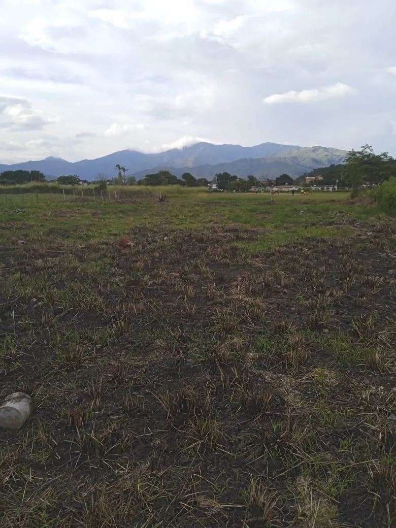 URB. LOS NARANJOS GUACARA