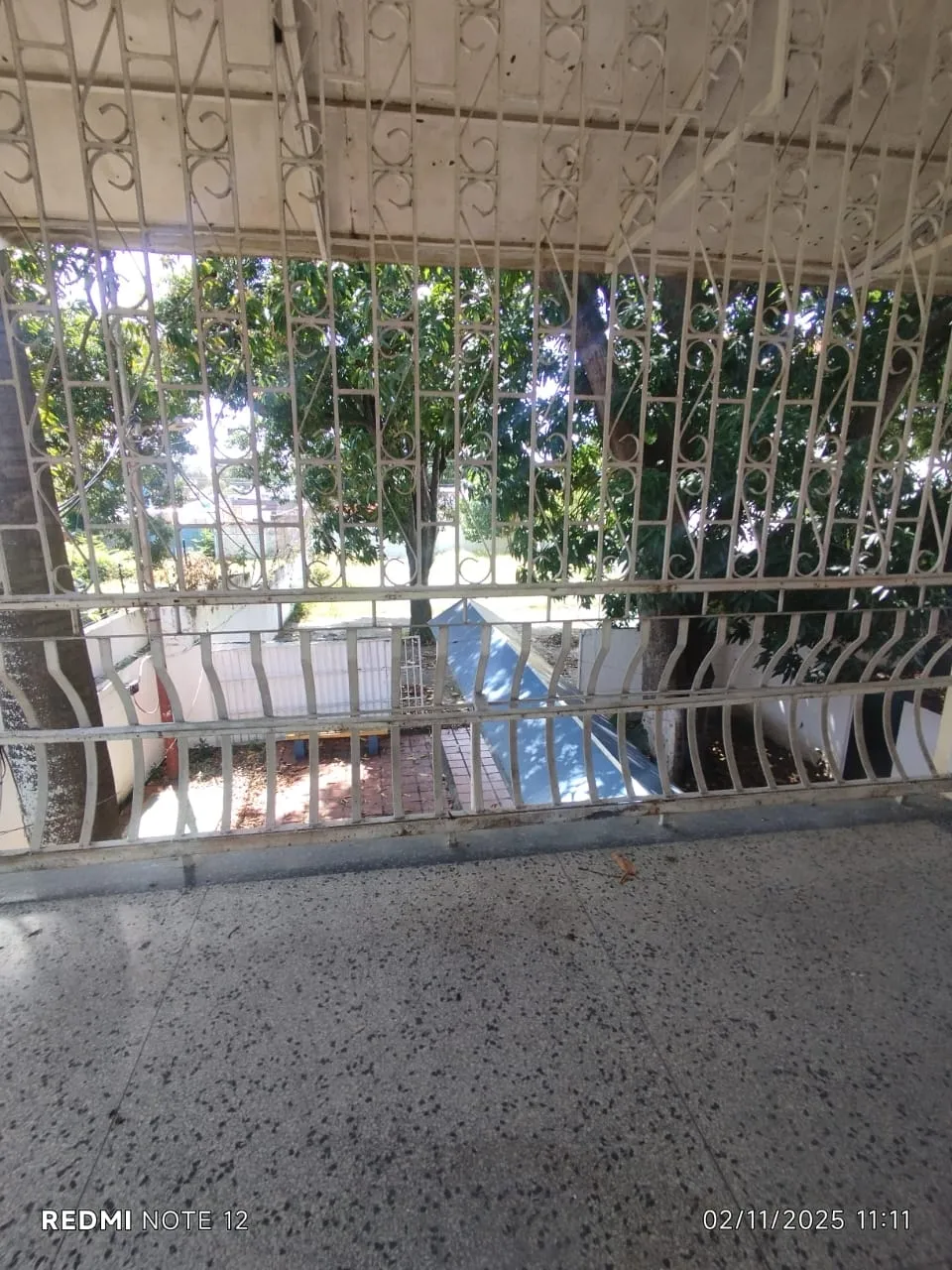Image 6