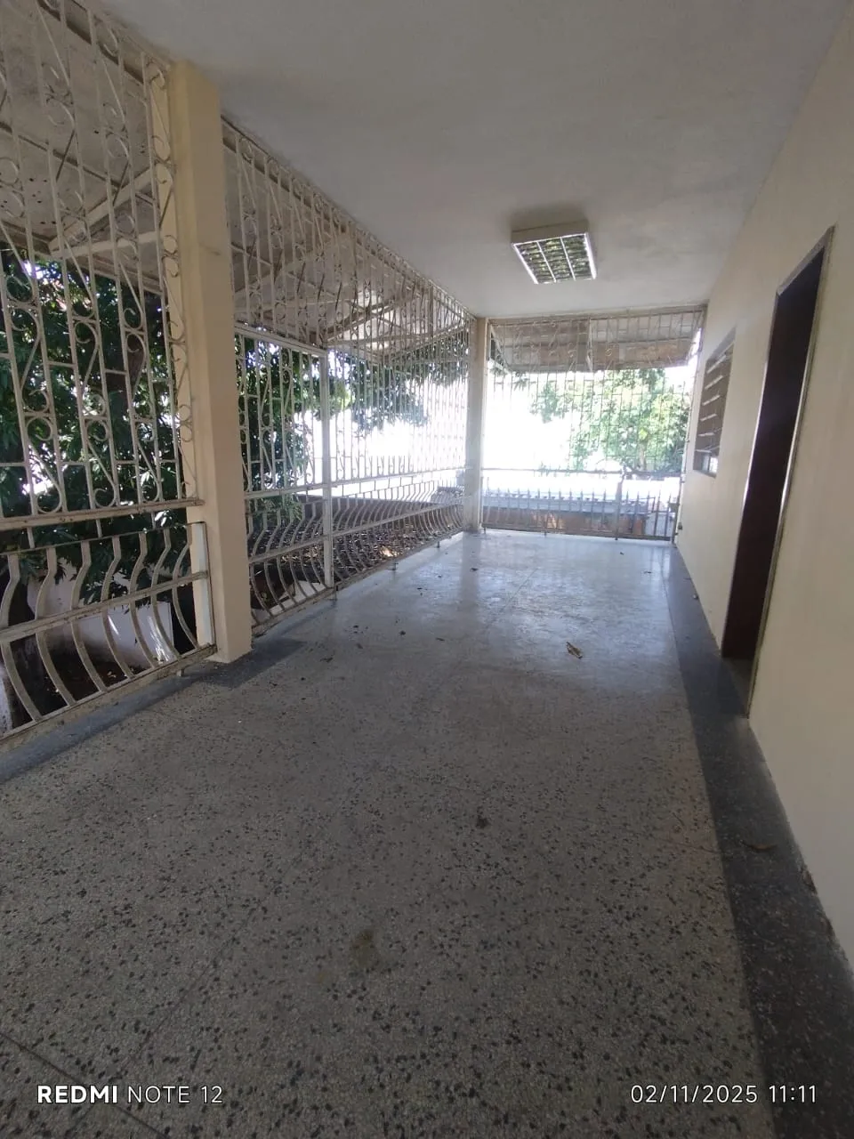 Image 7