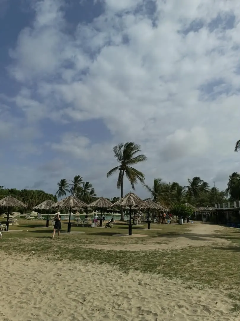 Image 8