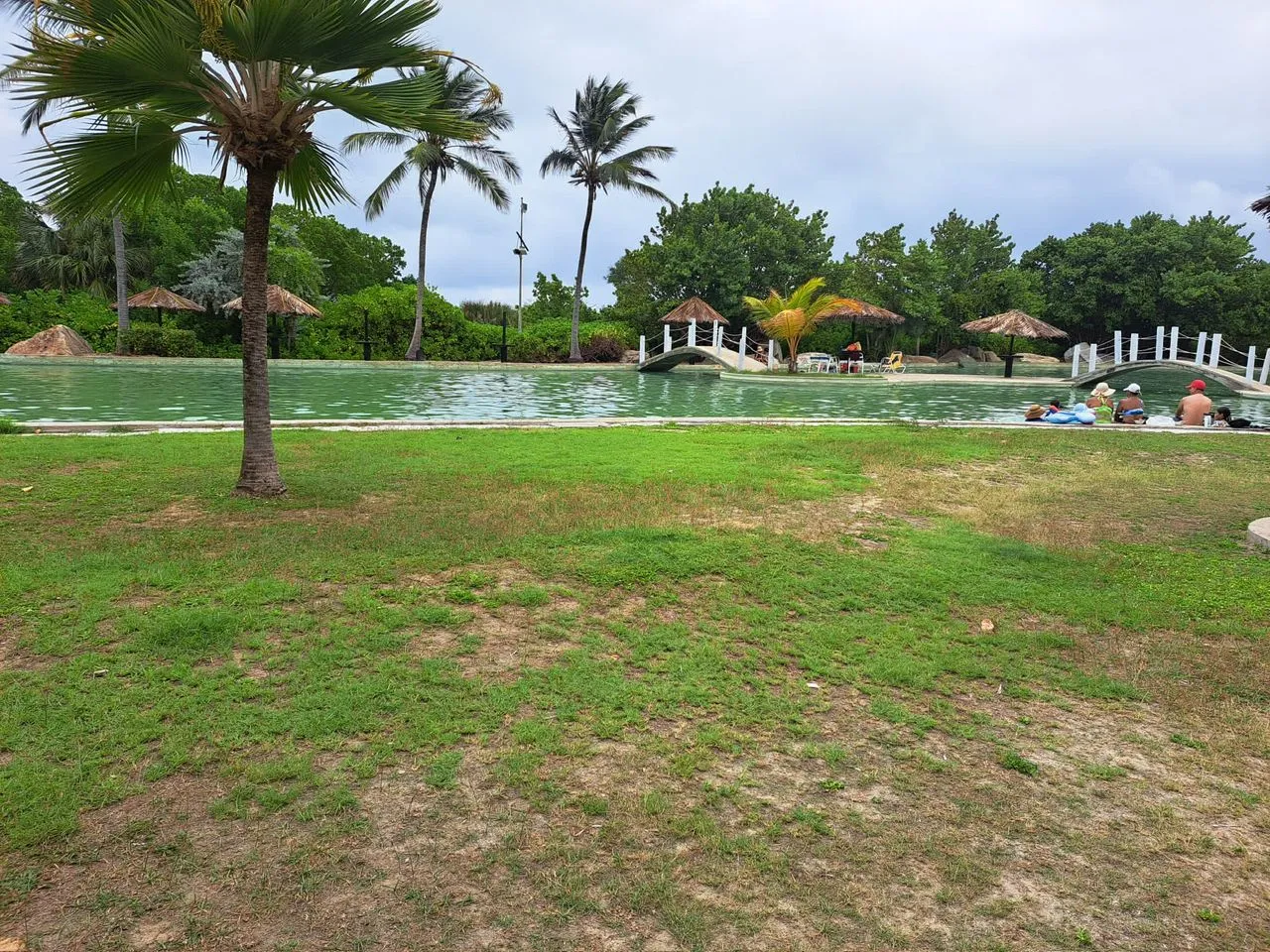 Image 12