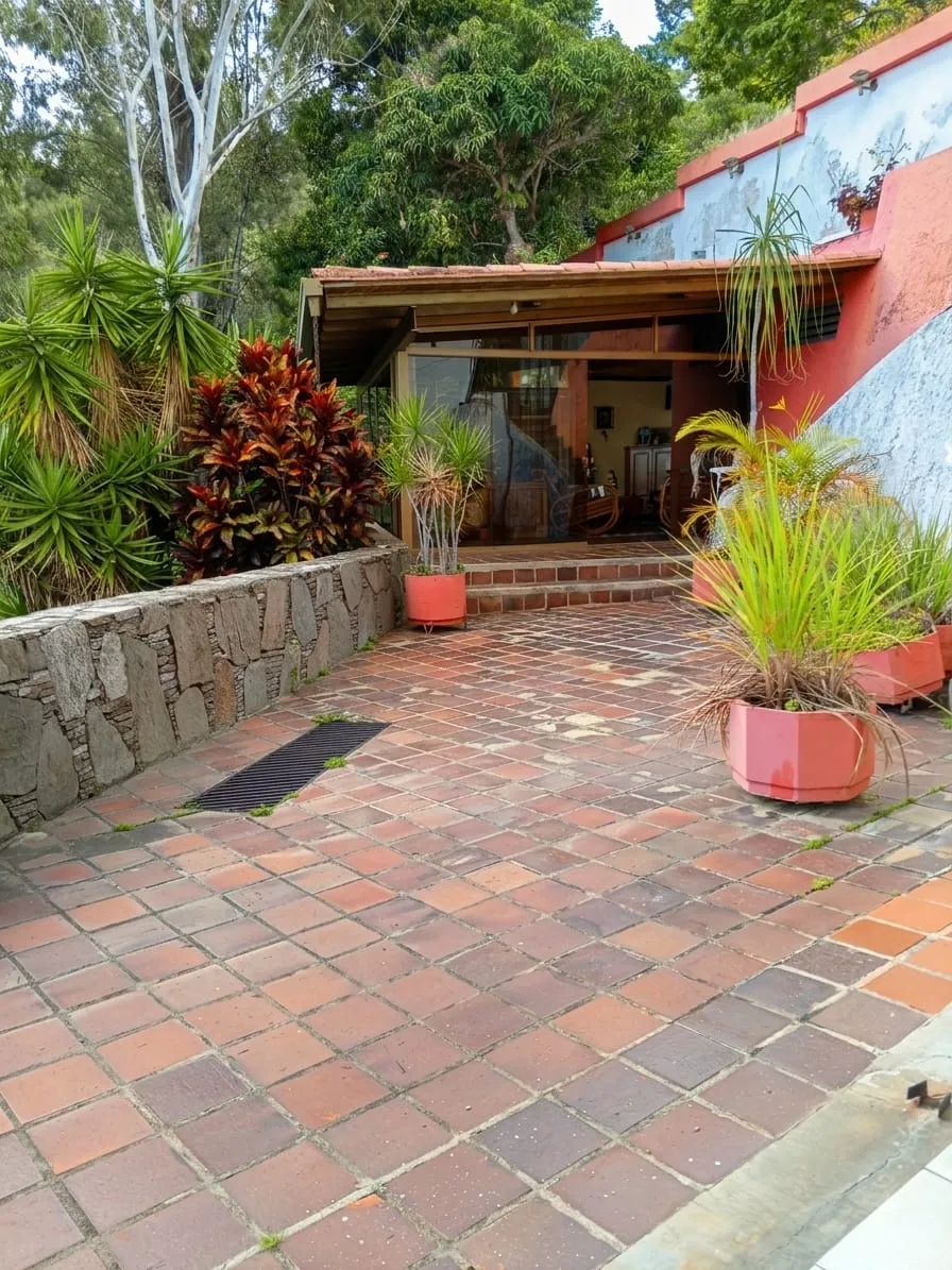 Image 12