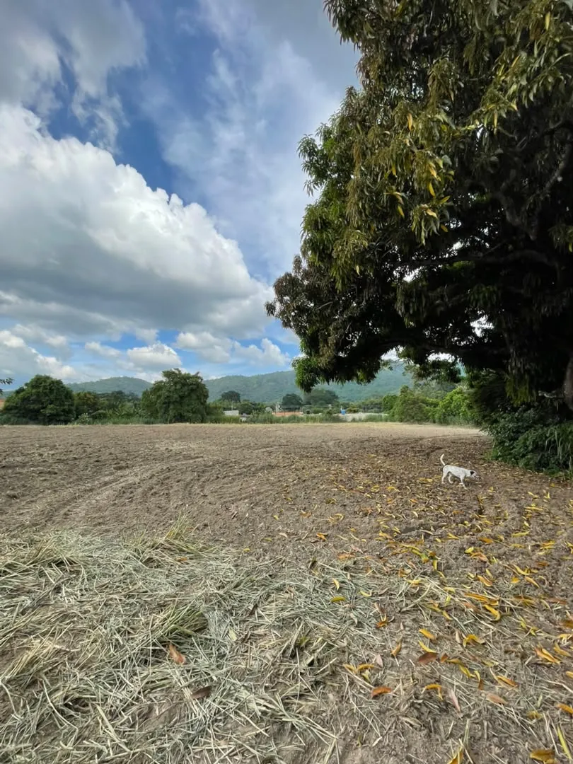 TERRENO EN SAN DIEGO