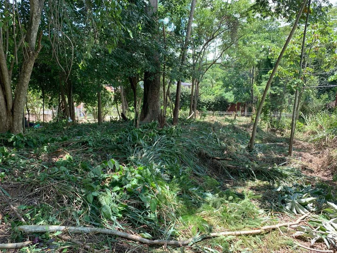 TERRENO COLINAS DE GUATAPARO