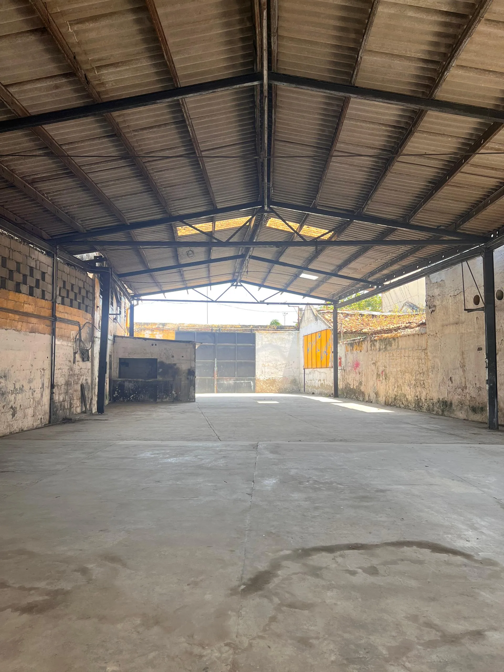 Image 6