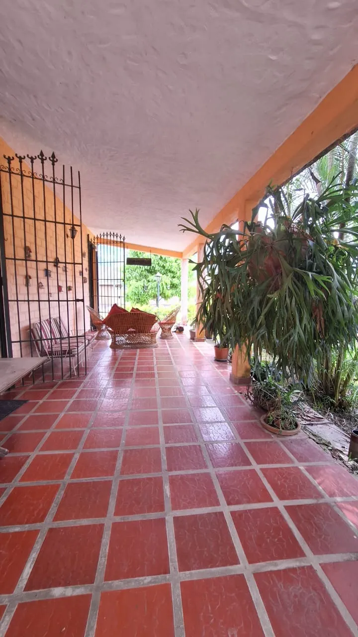 Image 11
