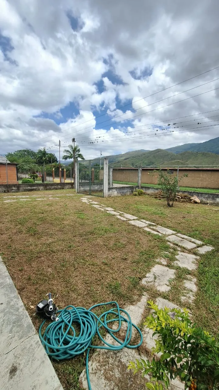 Image 15