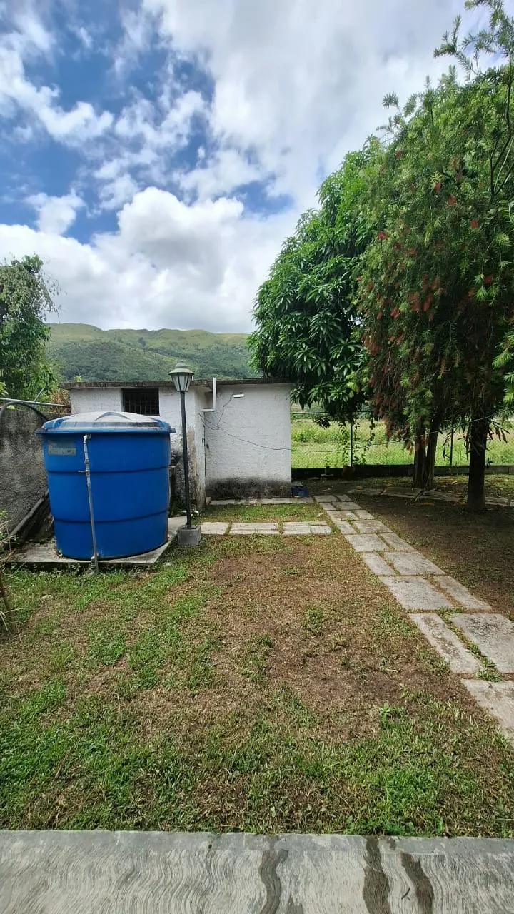 Image 19