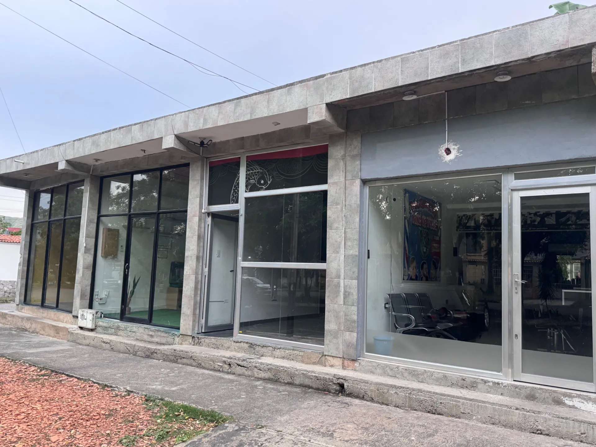 Image 6