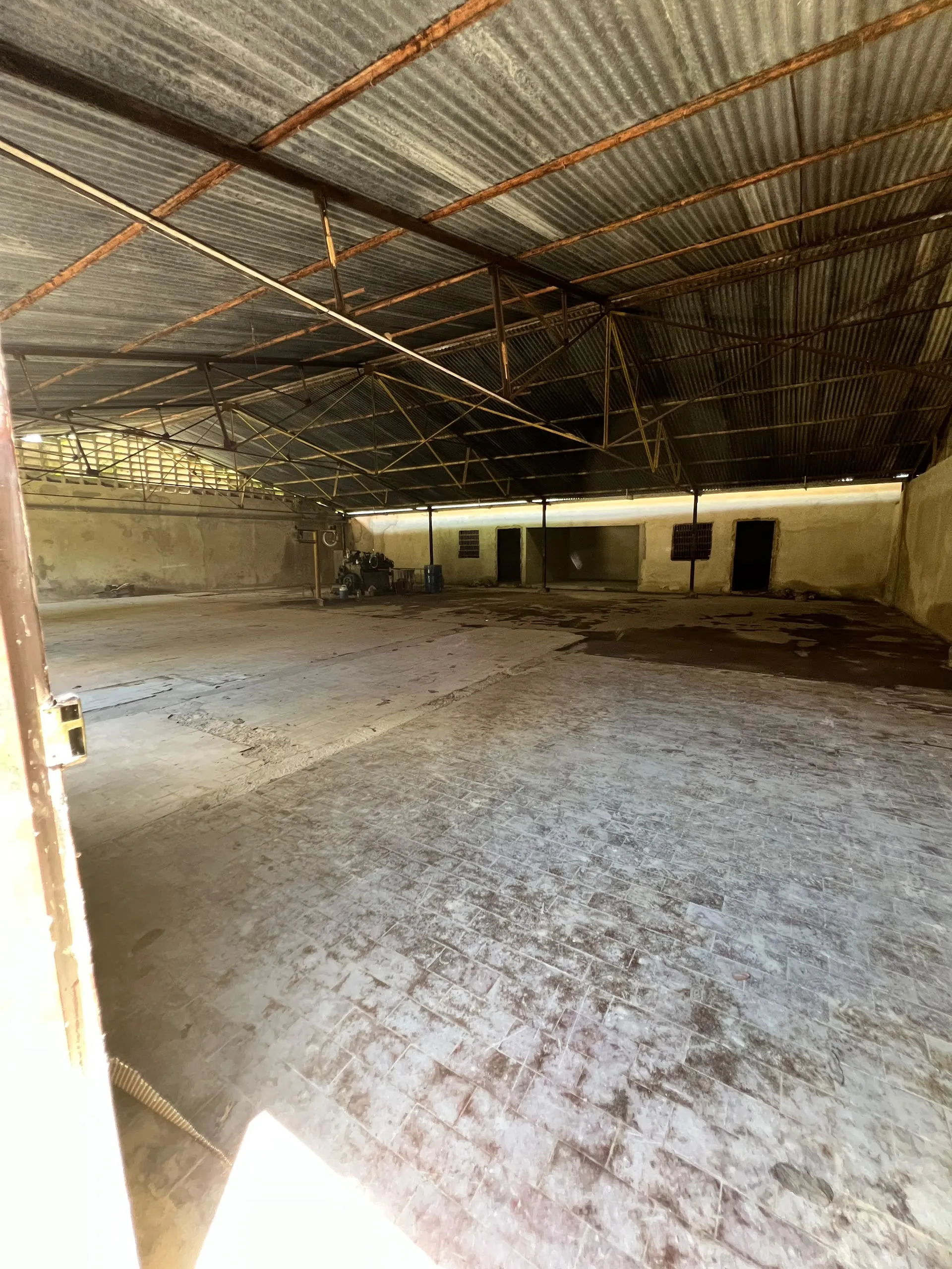 Image 5