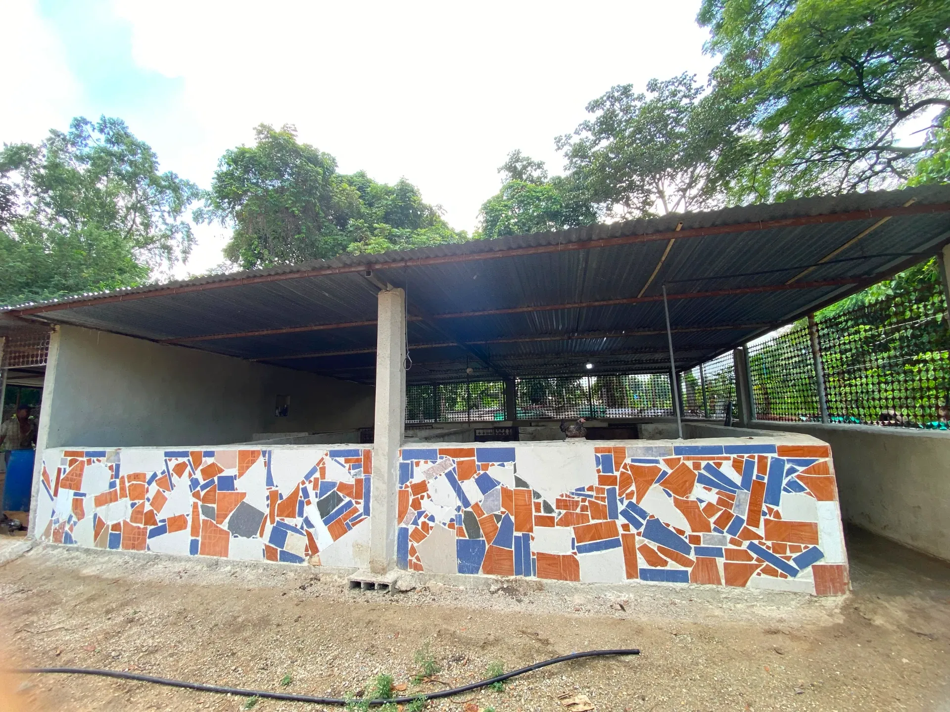 Image 5