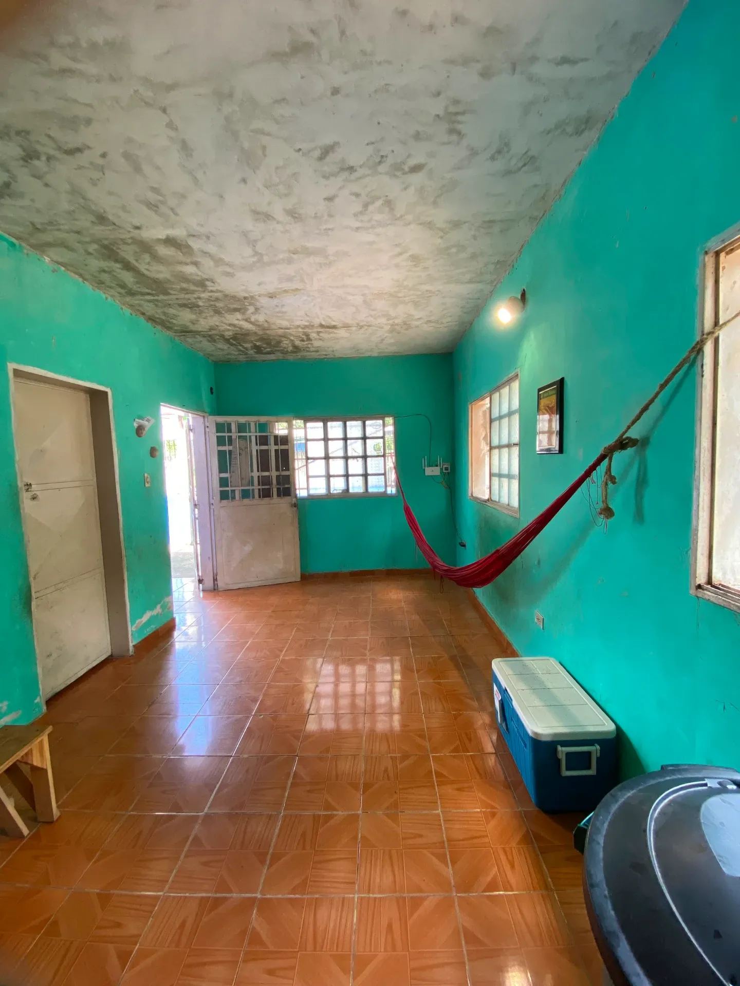 Image 12